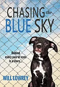Chasing the Blue Sky – Revisión editorial – El directorio de reseñas de libros